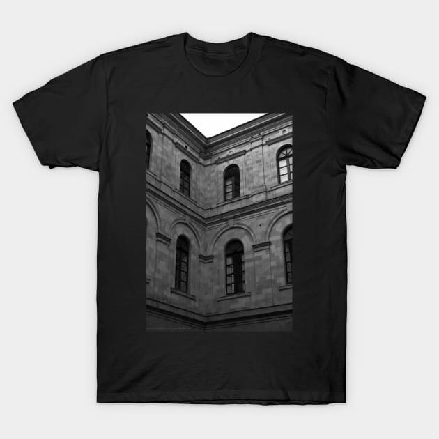 Inside the Palace of Sassaris province T-Shirt by EmmeGray